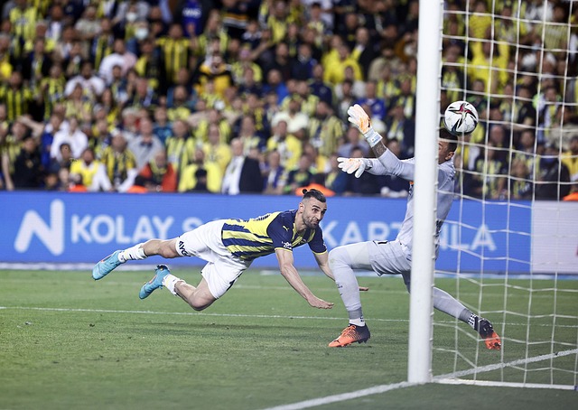 举名单预计 举名单预计