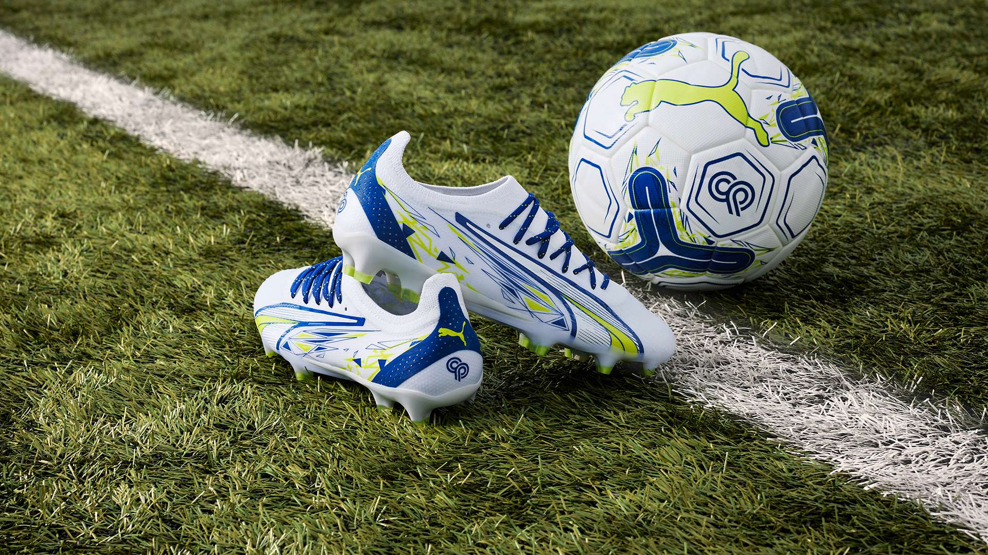 奇特原因導 奇特原因導