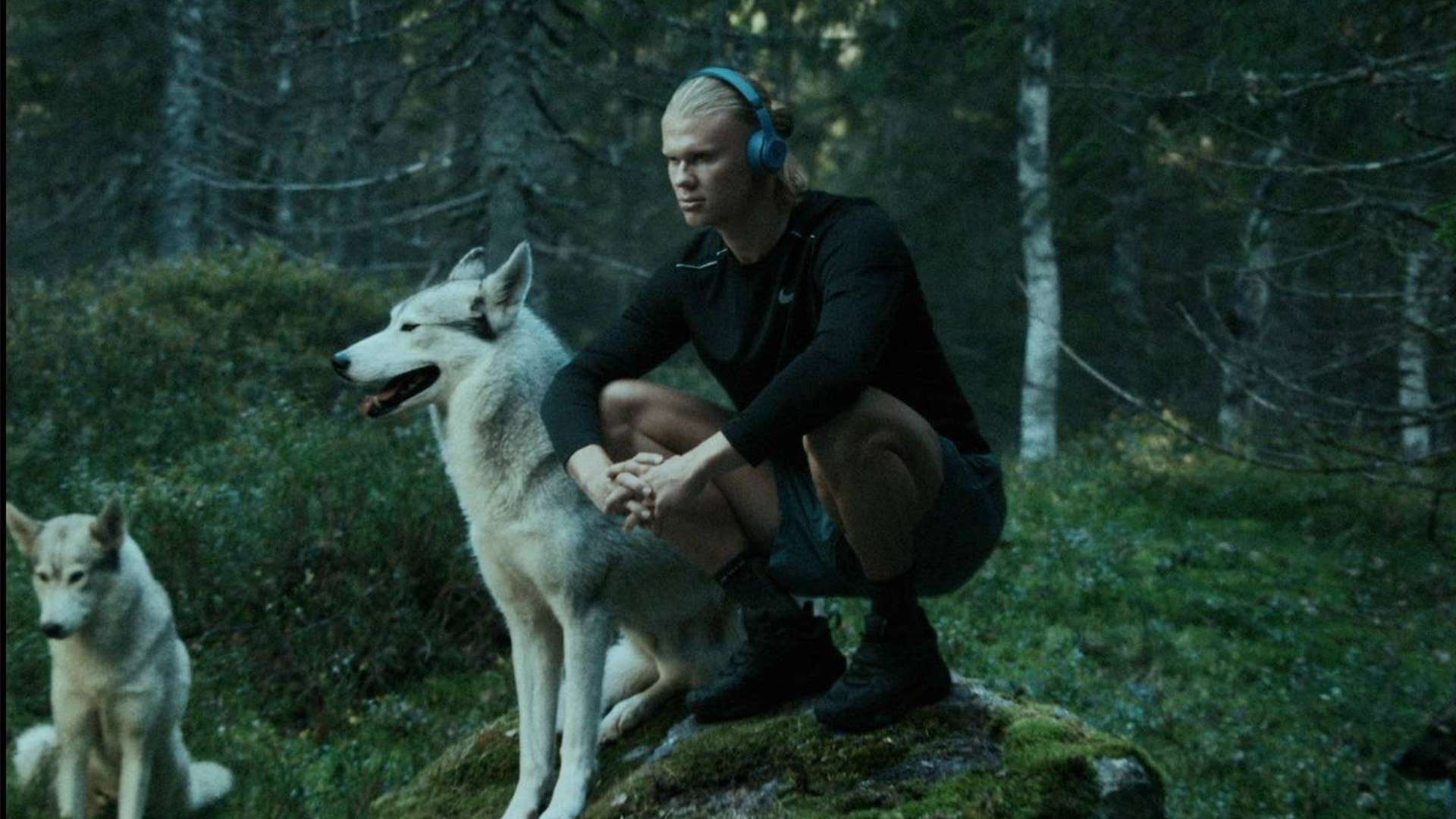 格被許多專 格被許多專