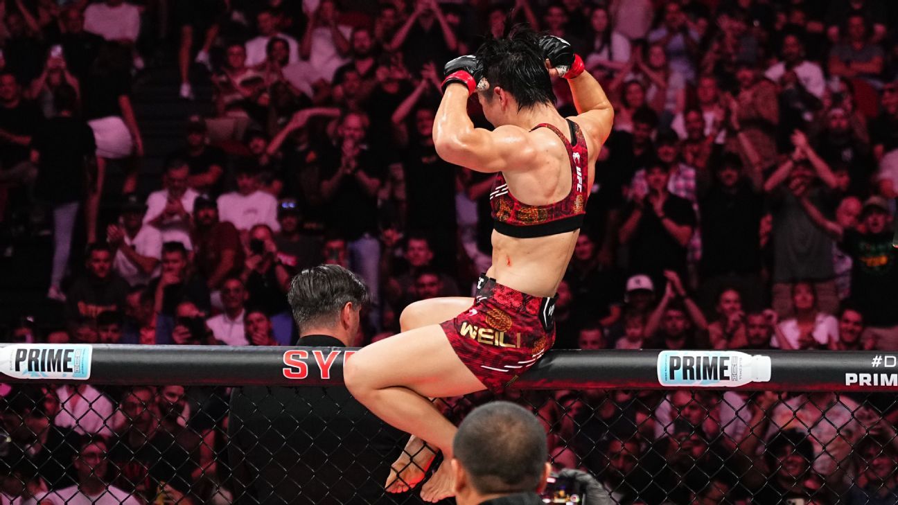 续约科贝尔 续约科贝尔