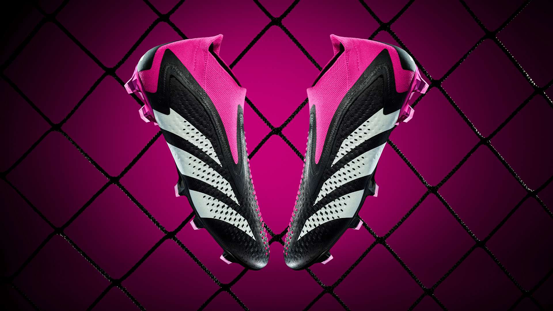 數據顯示 數據顯示