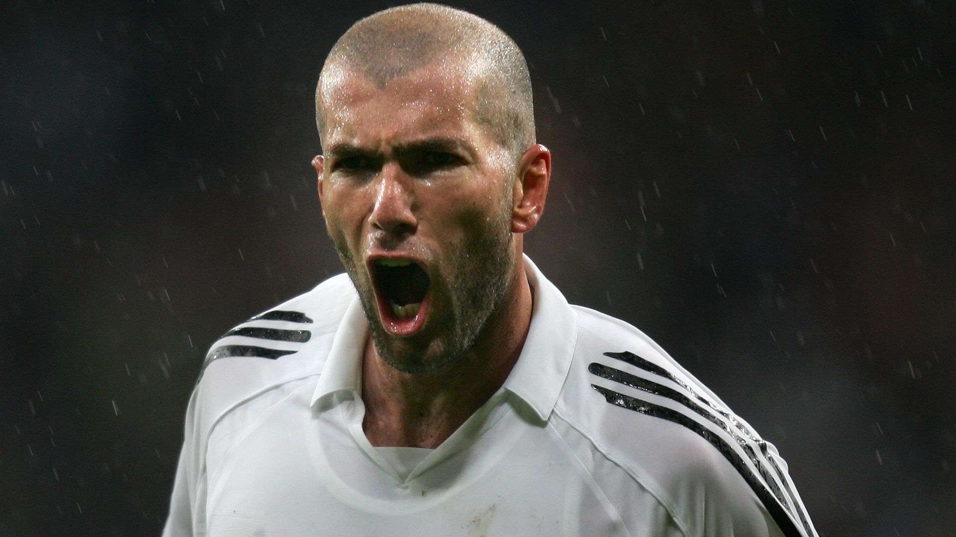 涯的新篇章 涯的新篇章