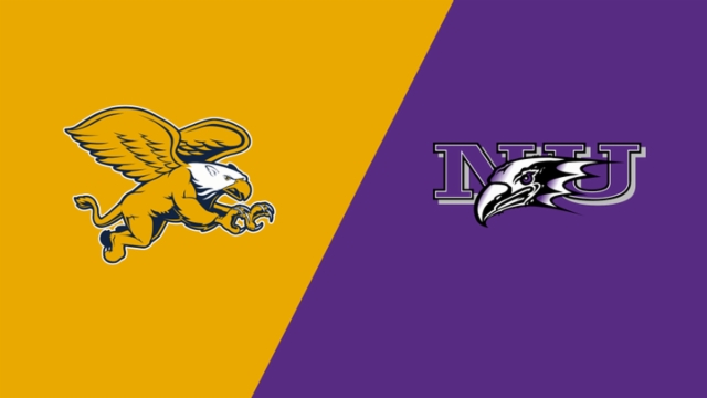 浙江队因资 浙江队因资